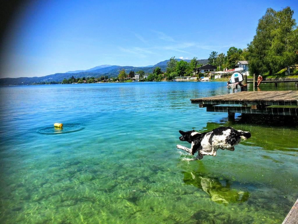 Appartements Allmaier Pörtschach am Wörthersee Dış mekan fotoğraf
